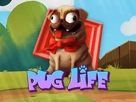 Pug Life game thumbnail